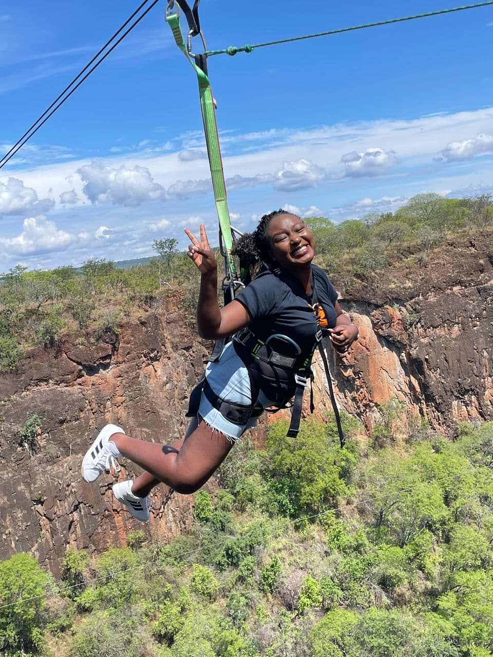 Elephants on a game drive in Chobe National Park